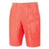 Ping Ashcroft Golf Shorts P03417
